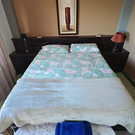 Spacious Penthouse Palmeras Ocean View 300 M To The Beach