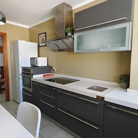 Spacious Penthouse Palmeras Ocean View 300 M To The Beach *